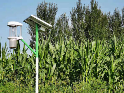 致敬耕耘者！「盤點2021」農(nóng)業(yè)科技公司的情懷與擔(dān)當(dāng)